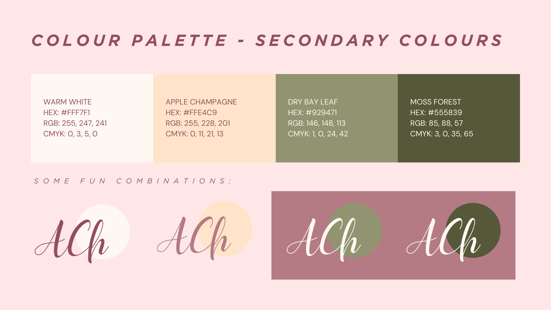 Brand Guide Secondary Colours