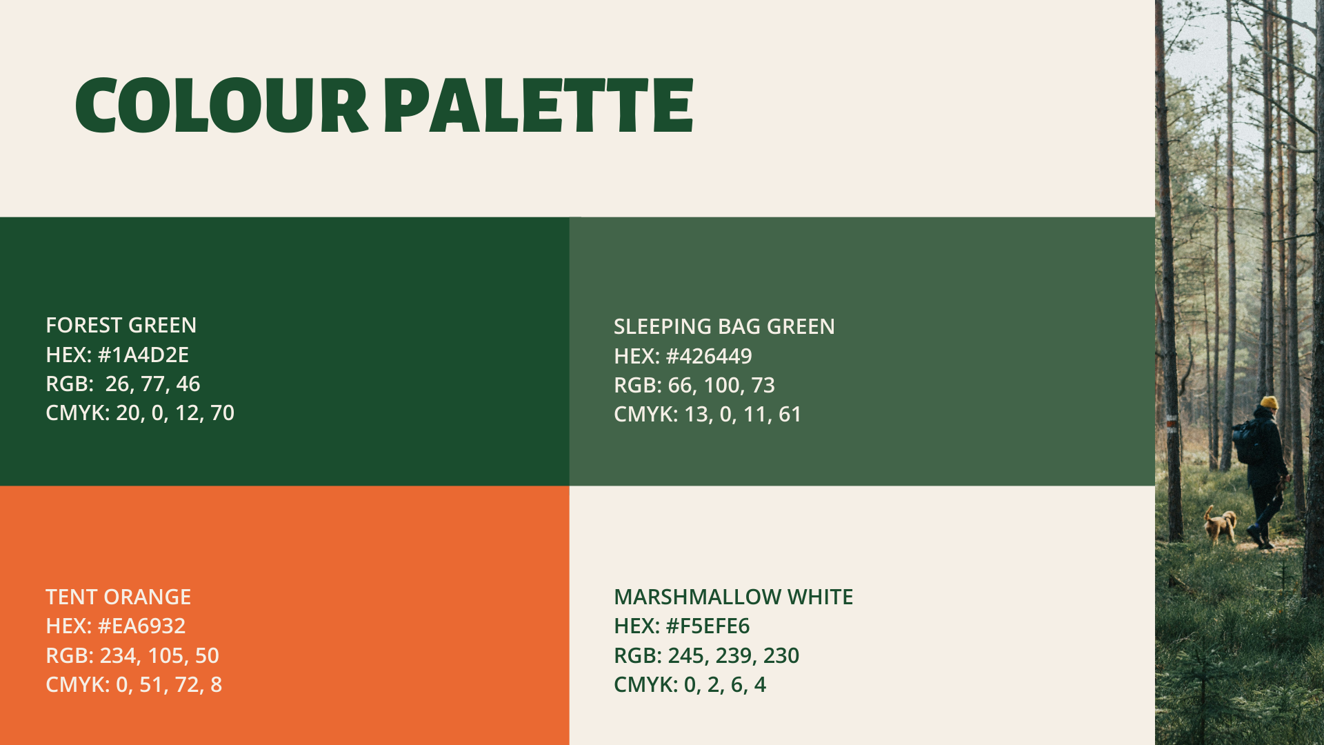 Campsite Companions Colour Palette